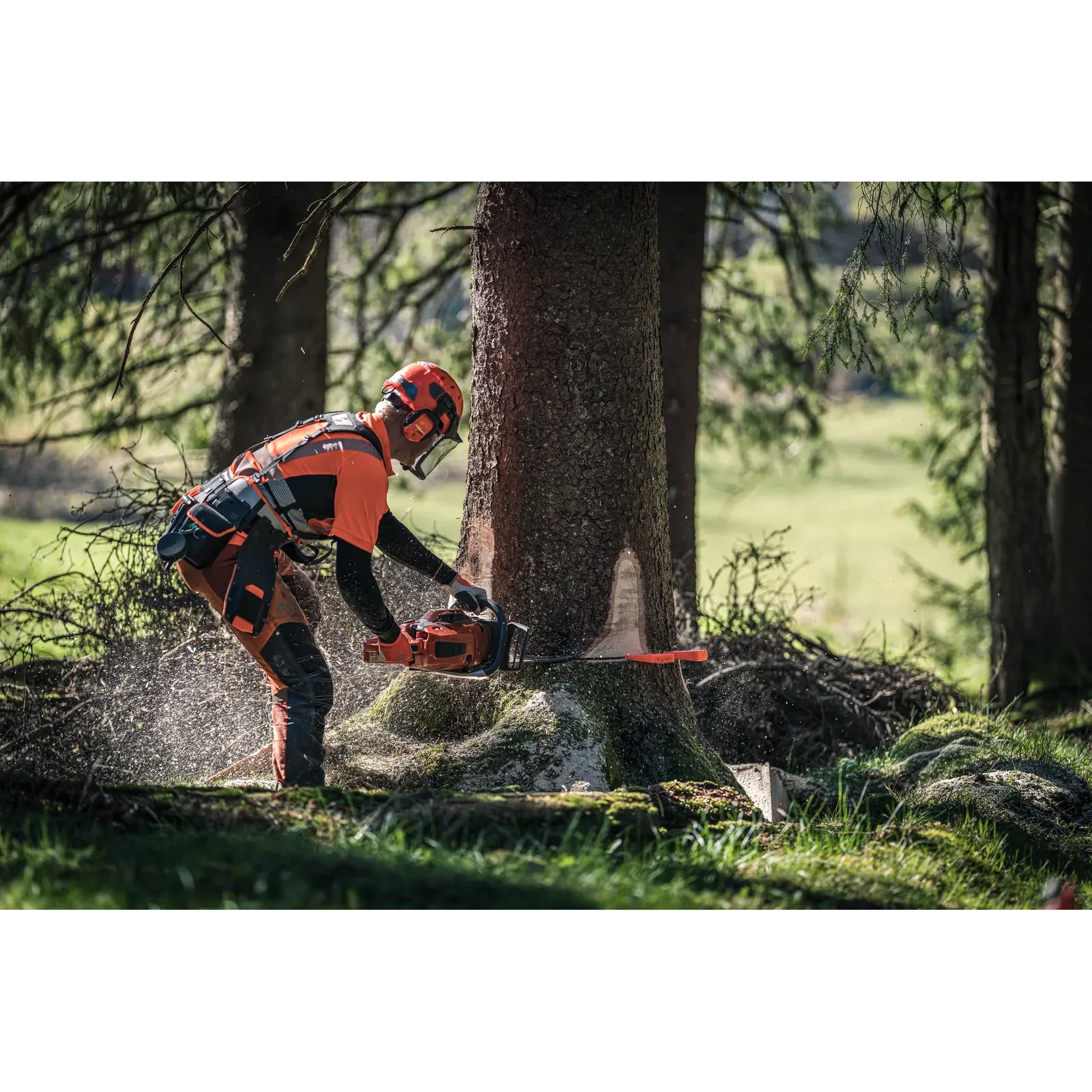 Husqvarna 572 XP® — vue 3