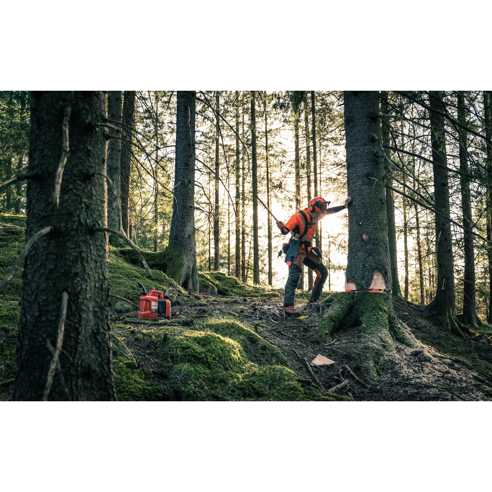 Husqvarna 572 XP® — vue 6