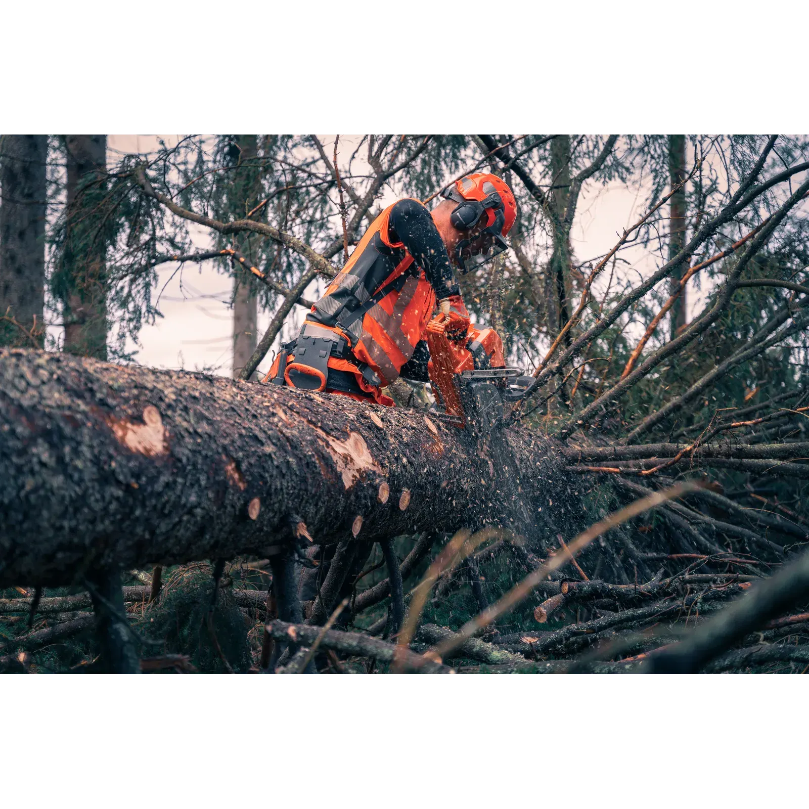 Husqvarna 592 XP® — vue 6