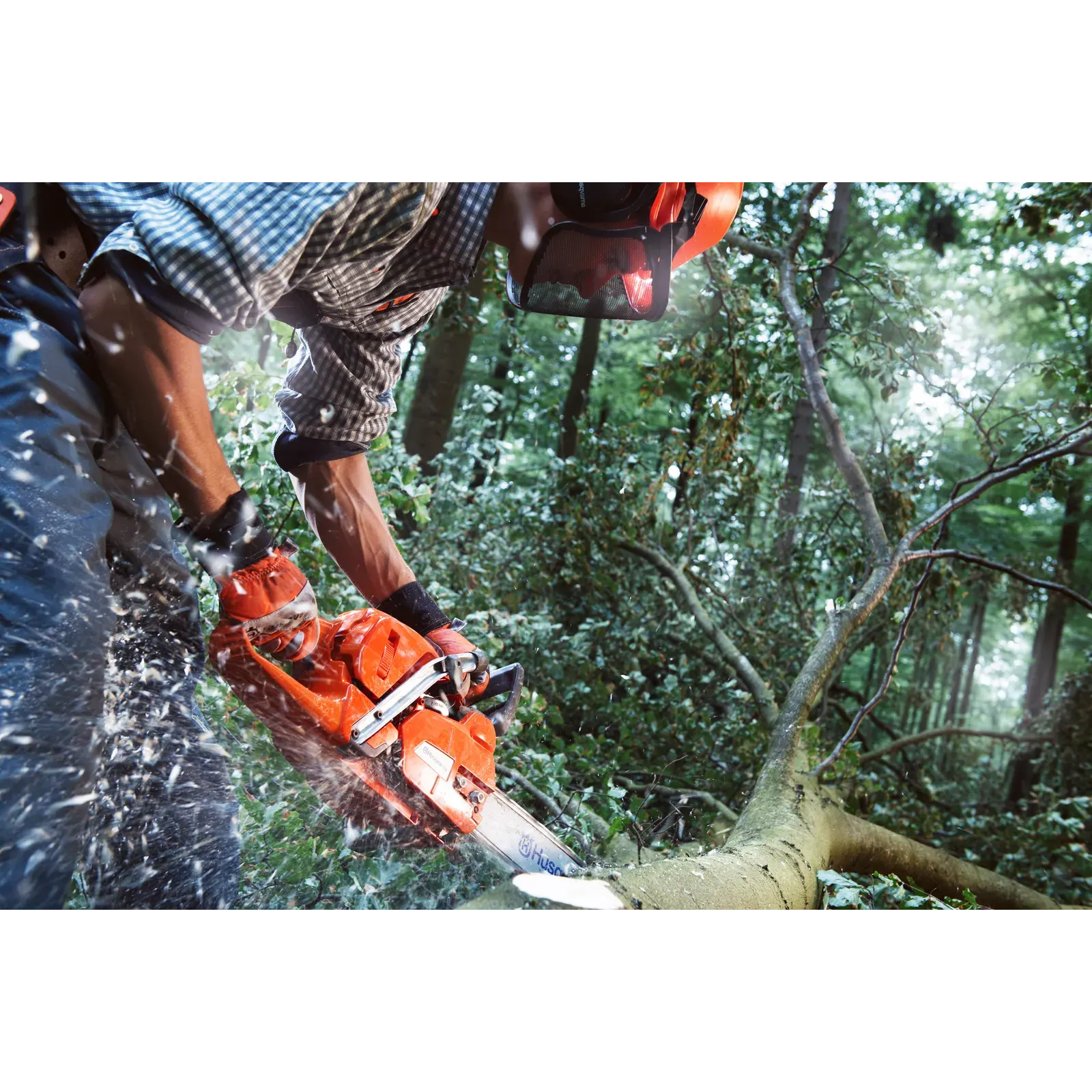 Husqvarna 555 — vue 3