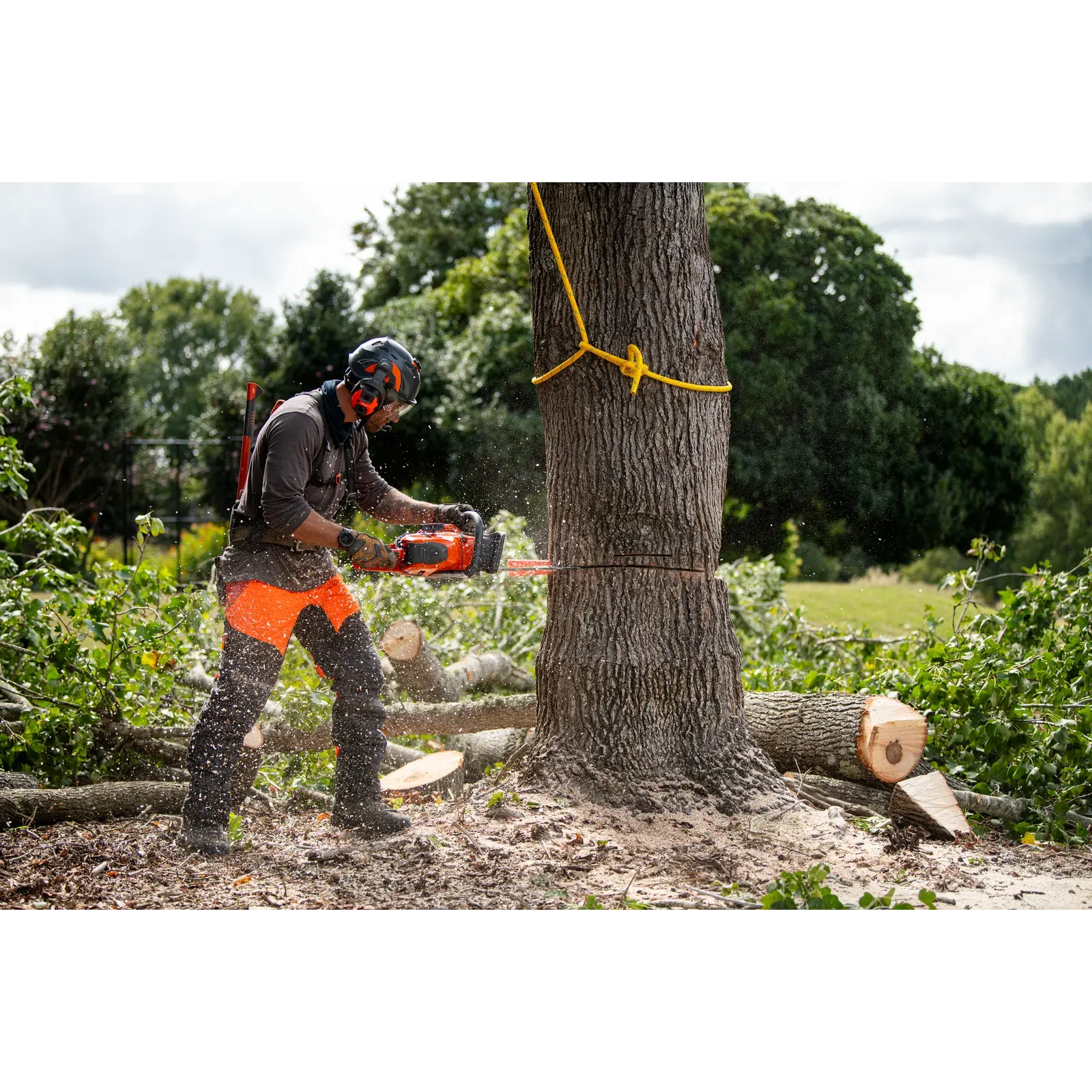 Husqvarna 564 XP® — vue 2