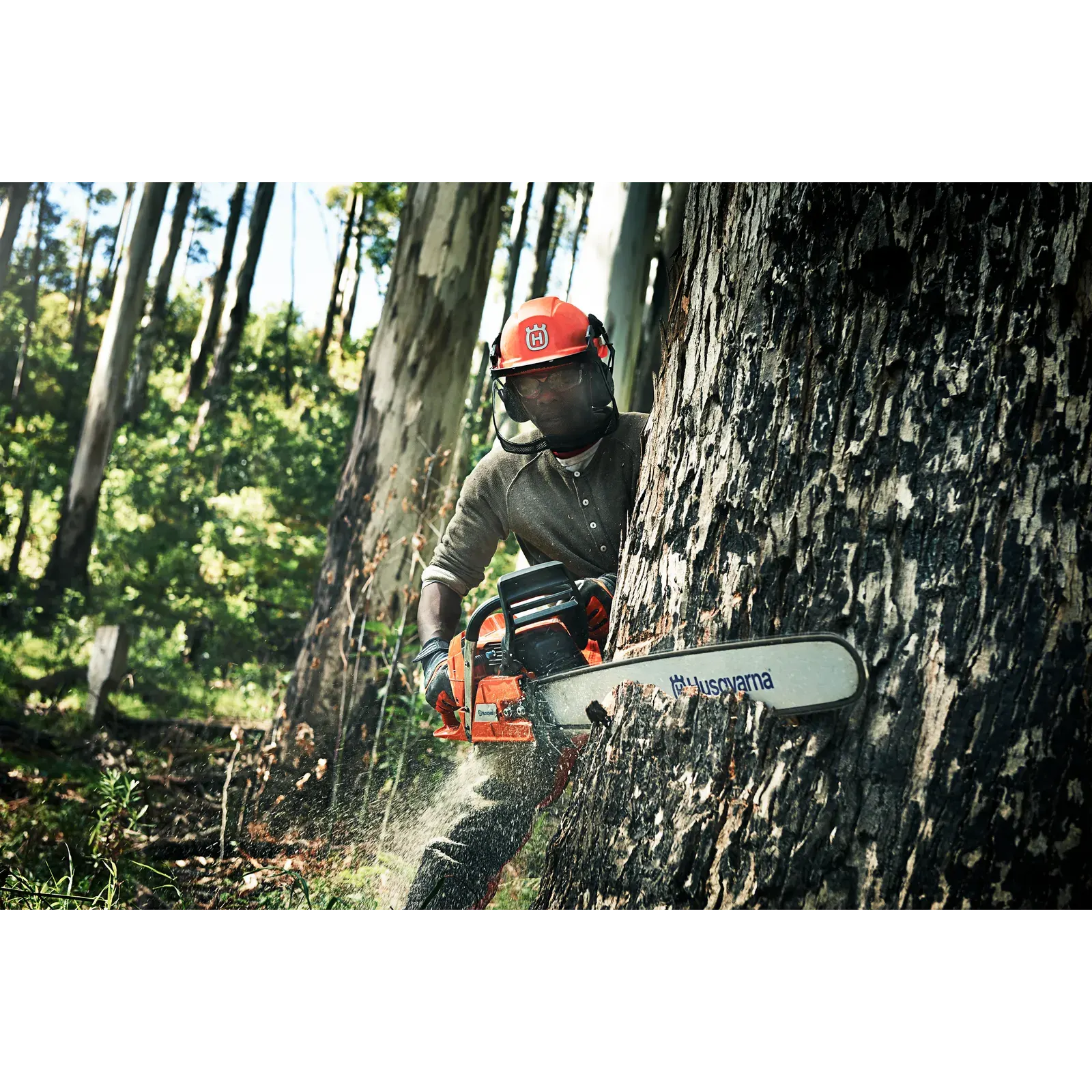 Husqvarna 390 XP® — vue 4