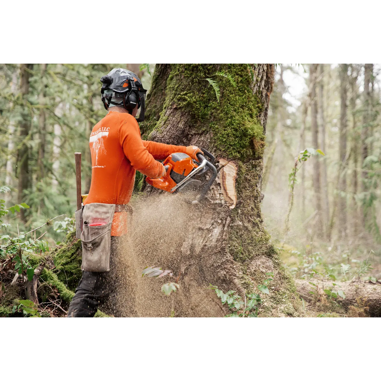 Husqvarna 592 XP® — vue 5