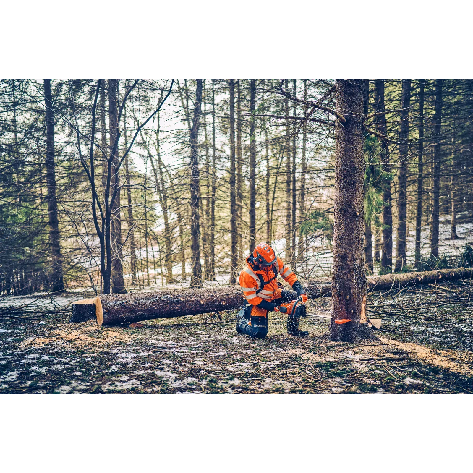 Husqvarna 562 XP® Mark II — vue 5