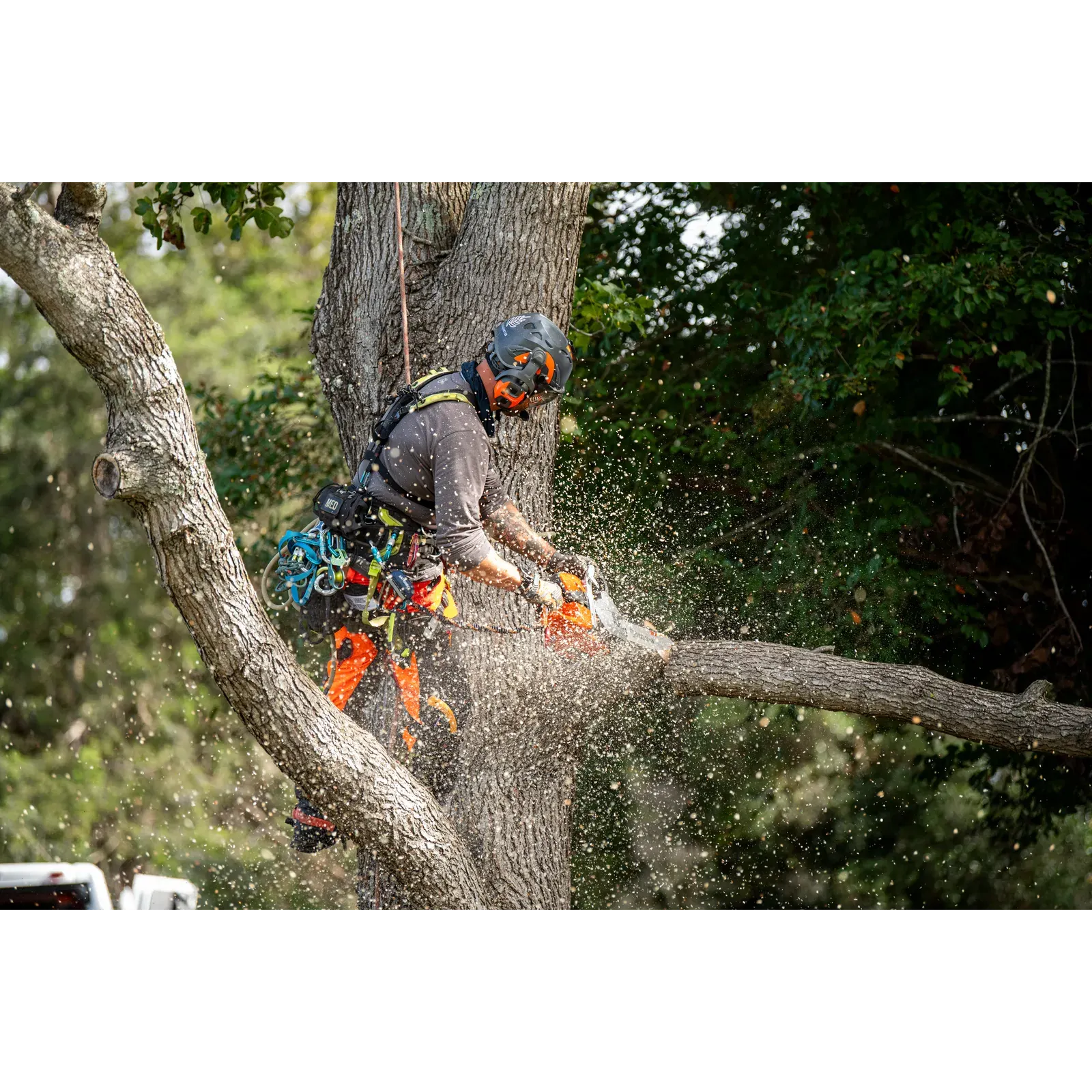 Husqvarna 564 XP® — vue 5