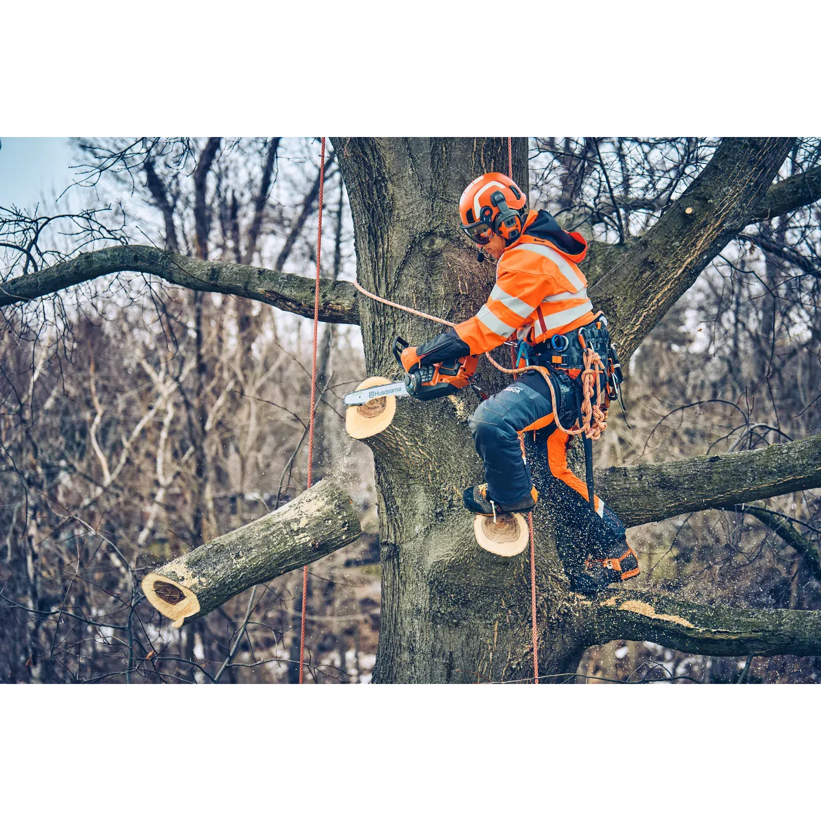 Husqvarna T542i XP® (avec batterie et chargeur) — vue 2