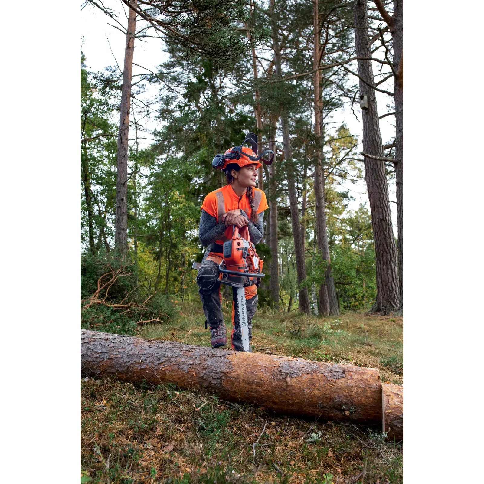 Husqvarna 550 XP® Mark II — vue 2