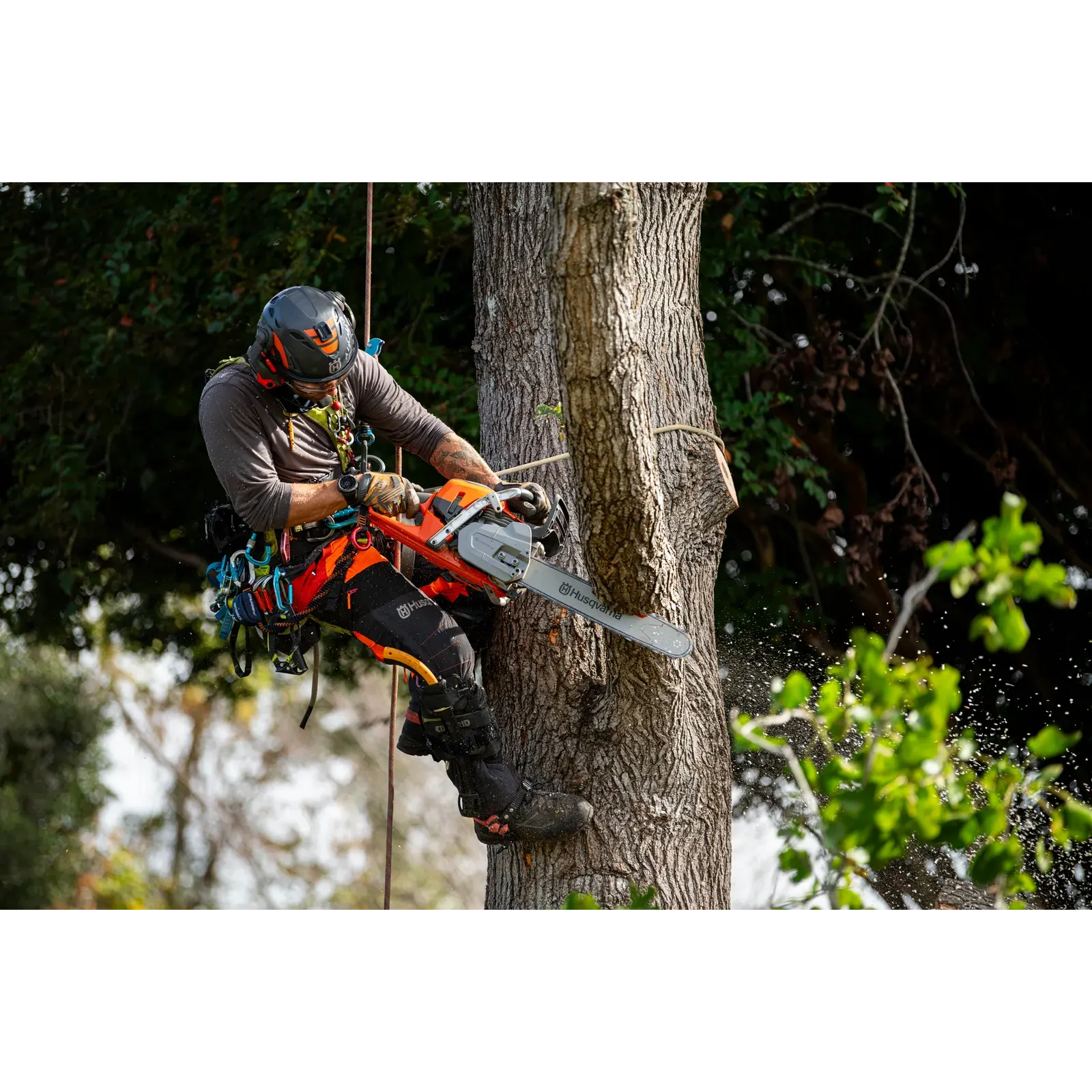 Husqvarna 564 XP® — vue 3