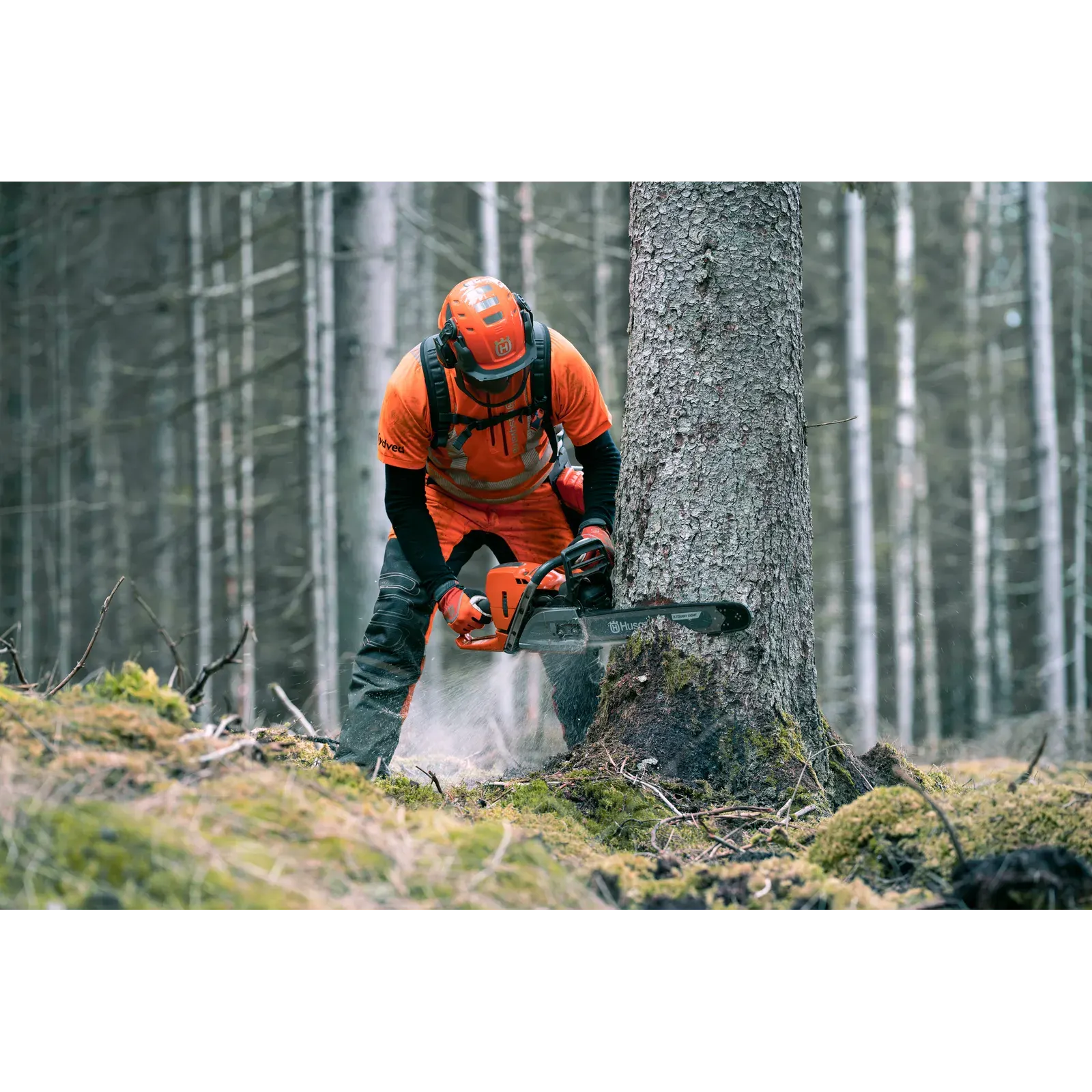 Husqvarna 572 XP® — vue 5